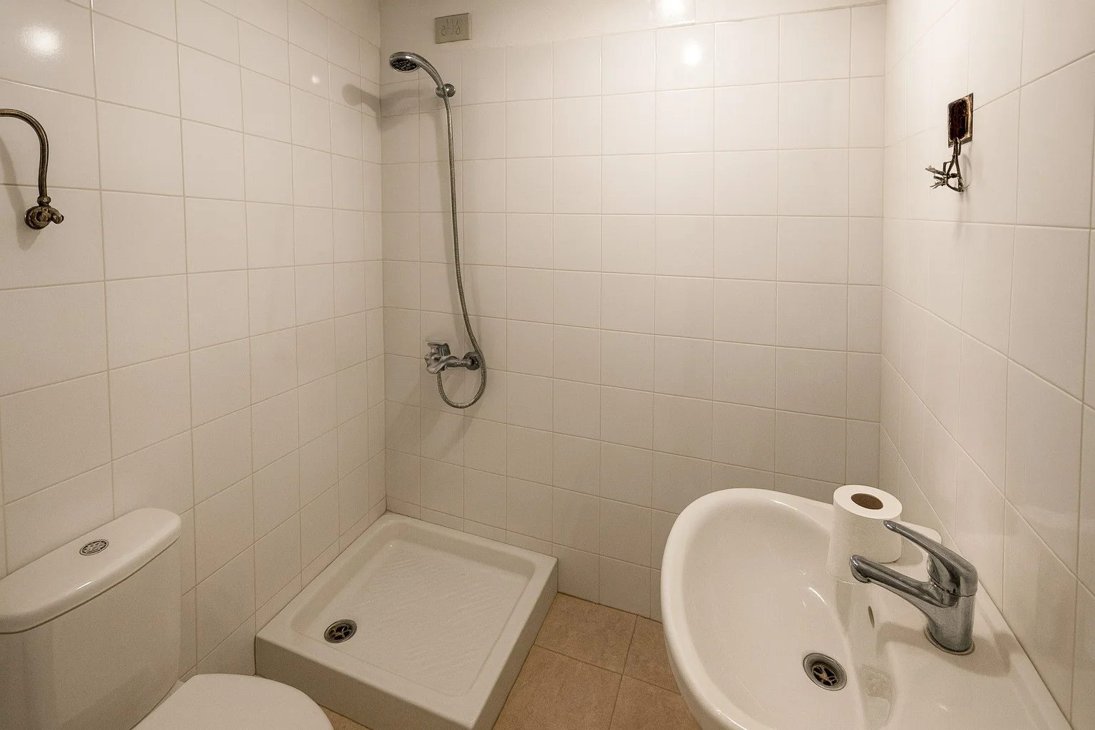 Baño existente con ducha, inodoro y lavabo.